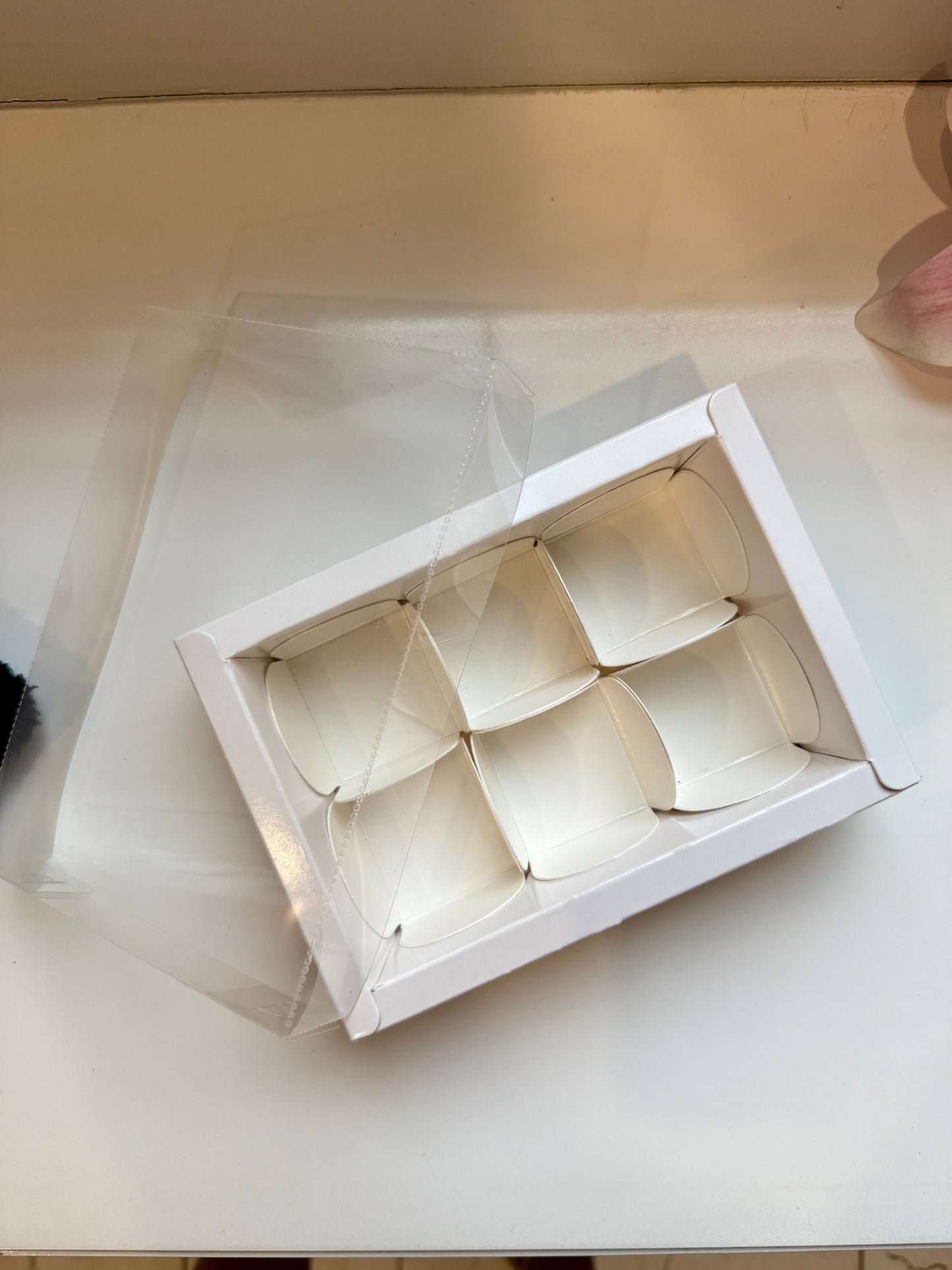 White 6 Cavity Box I Ladoo I Mini Bubble I Urli PO05